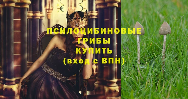 кокс Нея
