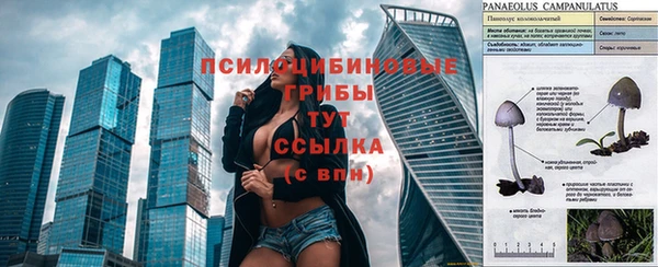 дживик Алексеевка