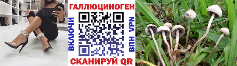 где найти наркотики  Ачхой-Мартан  Галлюциногенные грибы ЛСД 